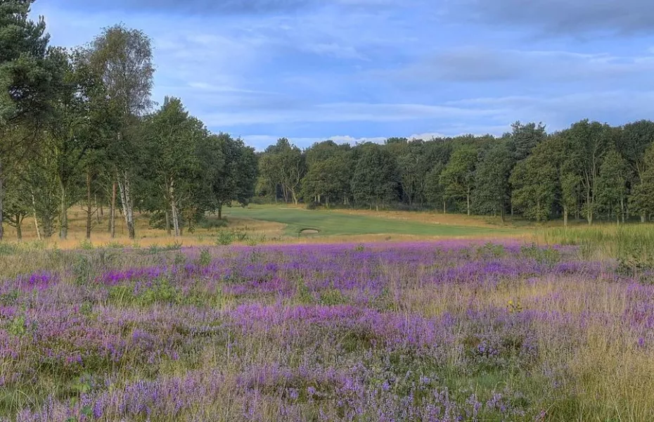 Sherwood Forest GC