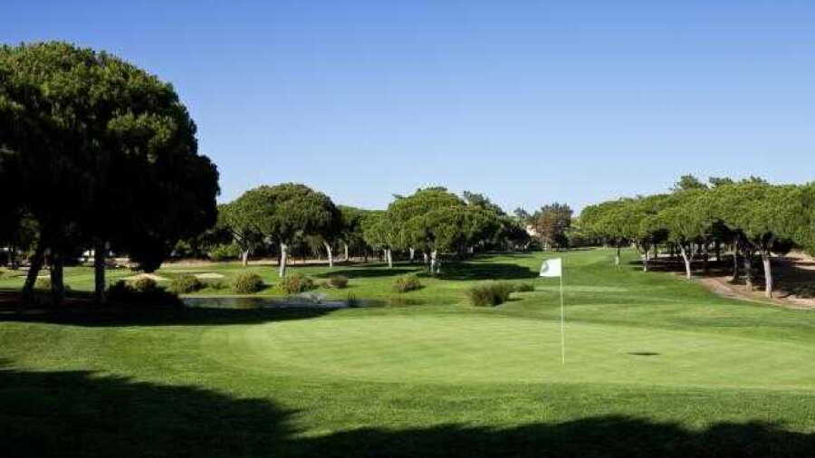Dom Pedro Golf - Pinhal
