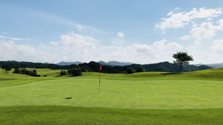 Shin Kimitsu Bell Green CC: #8