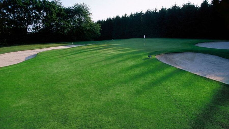 Wiesensee GC – Championship