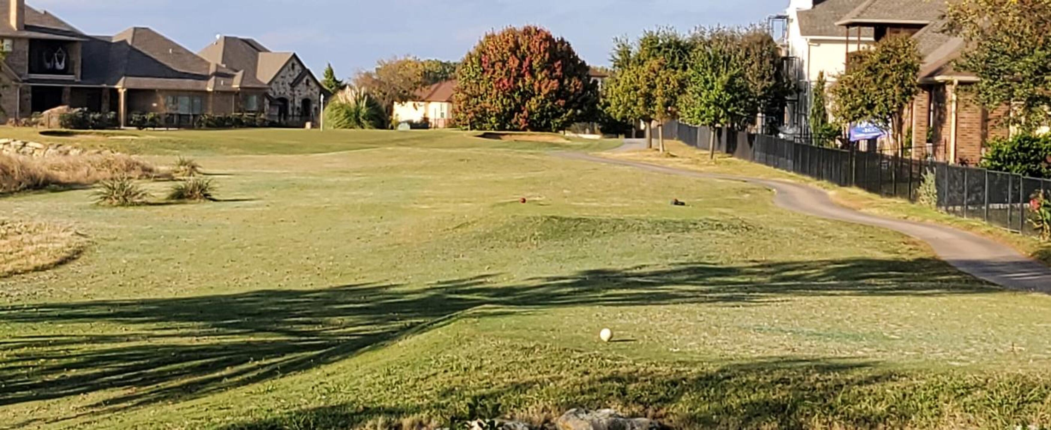 (Photo submitted by newlife1963 on 11/08/2020)