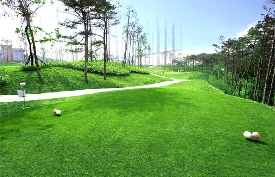 Seo Pyeongtaek GC: #17