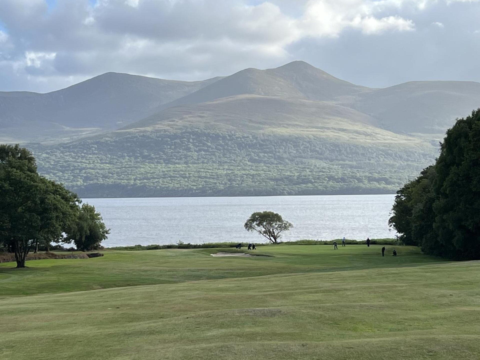 (Photo submitted by peRPE7qGsZ29asfte5Xe on 08/14/2024)