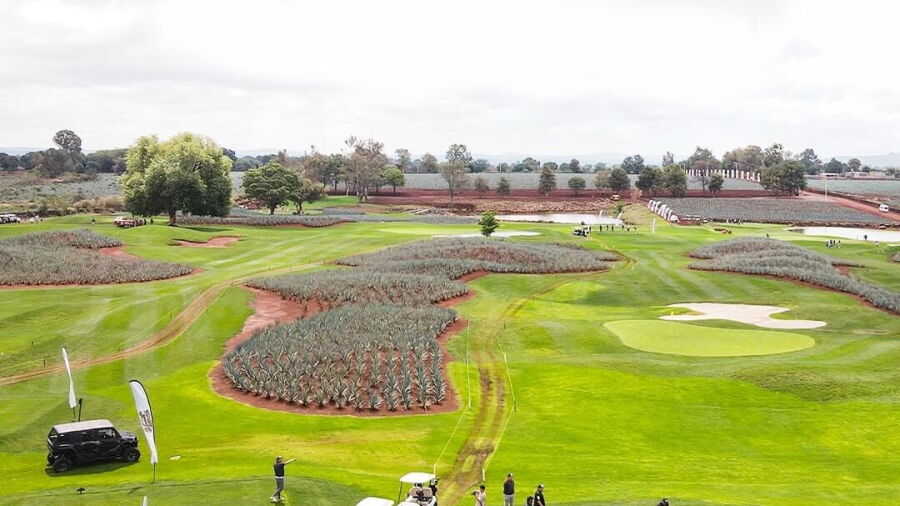 Nueve Almas Golf