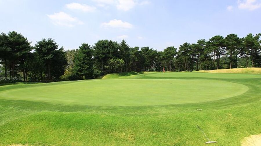 Riviera CC - Pine Hill: #5