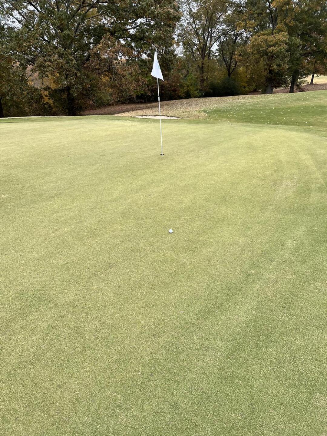 Hole 11. I didn’t make the birdie though. (Photo submitted by u314161257296 on 10/30/2022)