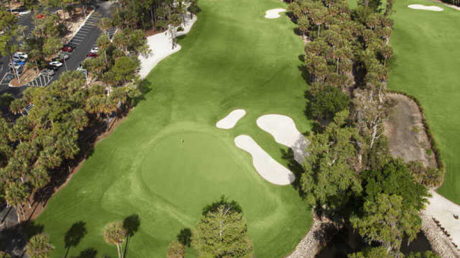 Bear at Forest CC: #18