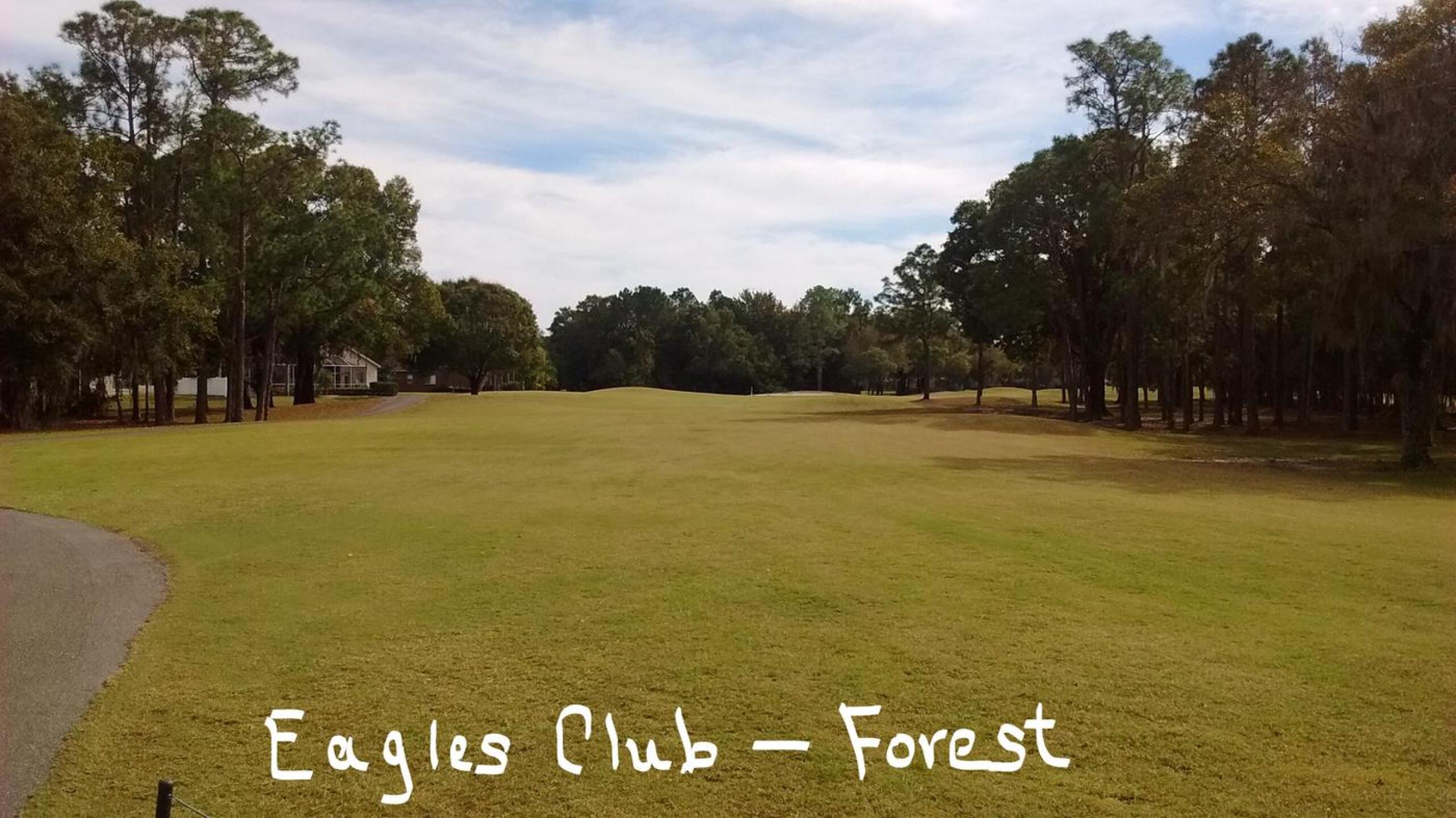 (Photo submitted by extennisnowgolfer on 12/17/2016)