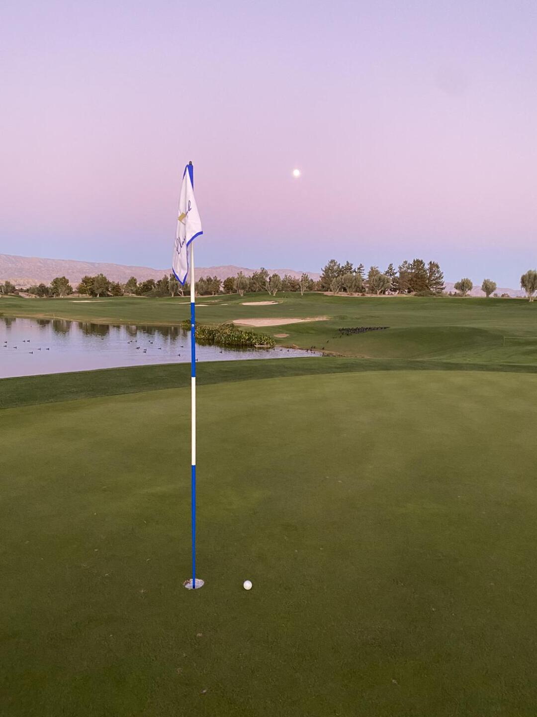 (Photo submitted by u314162394082 on 01/07/2022)