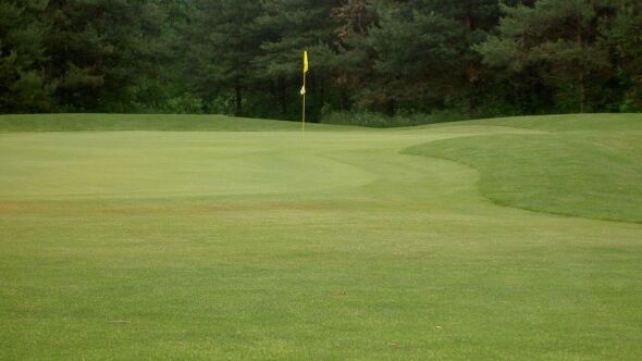 Hartland Glenn GC