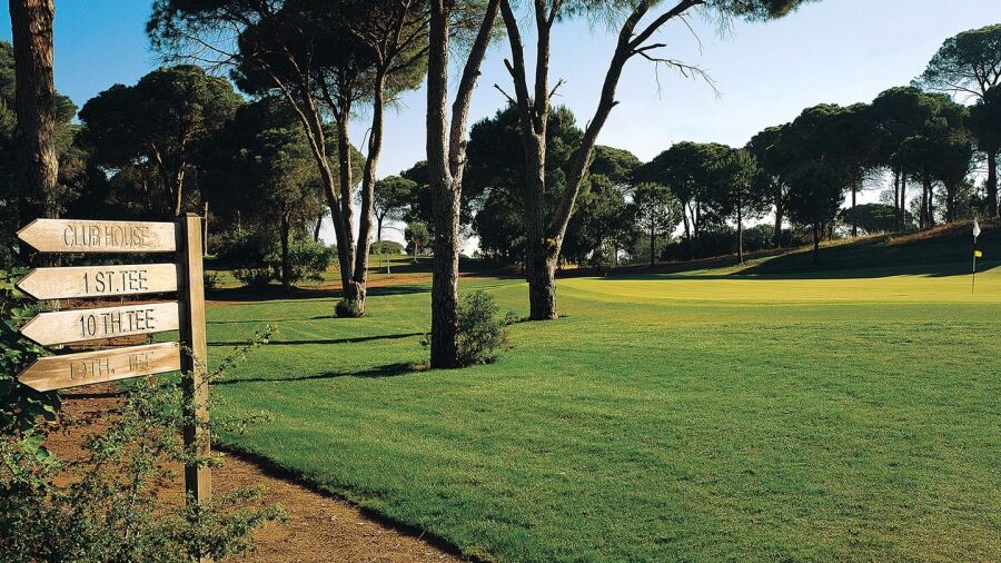 Cornelia GC