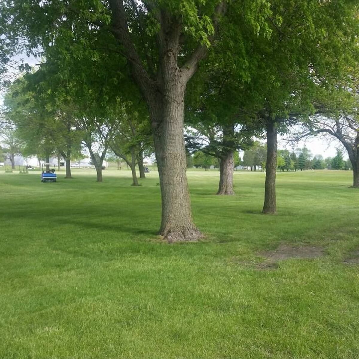 Laurens Golf & Country Club in Laurens, Iowa, USA Golf Advisor