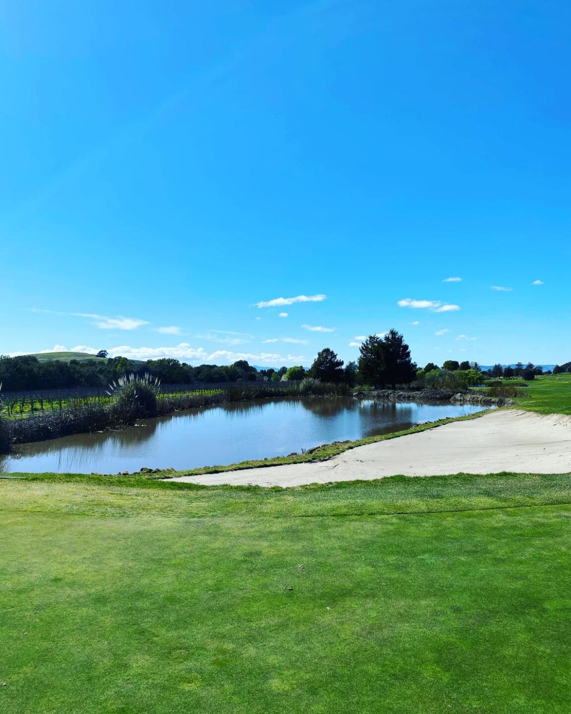 (Photo submitted by danng38 on 03/09/2023)