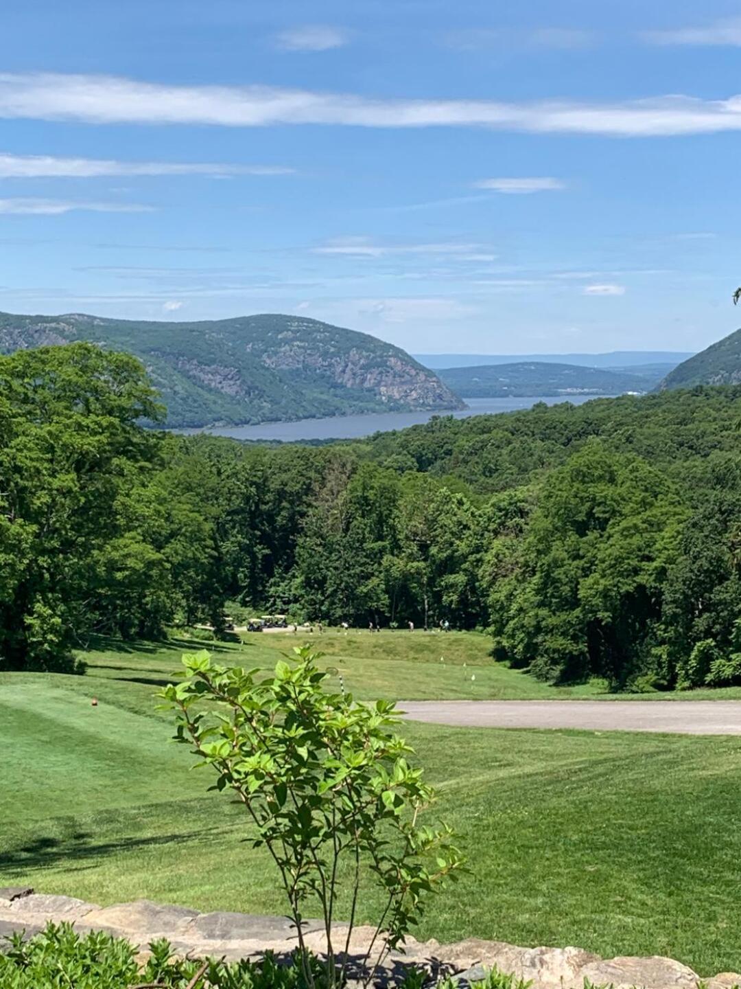 (Photo submitted by psdevito on 06/15/2019)