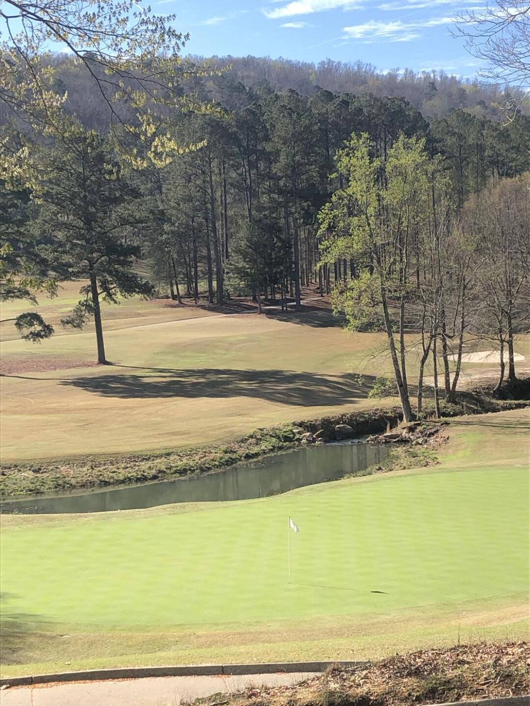 (Photo submitted by Stedmon3 on 03/12/2023)