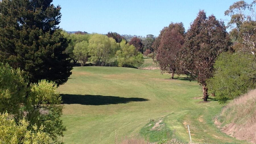 Omeo GC