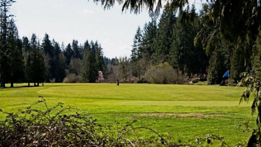 Cedars on Salmon Creek