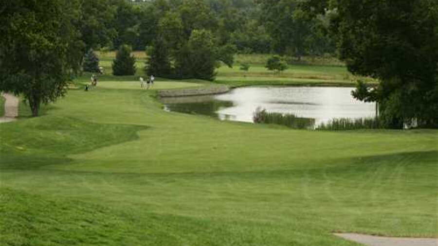University Club of Kentucky - Wildcat: #16