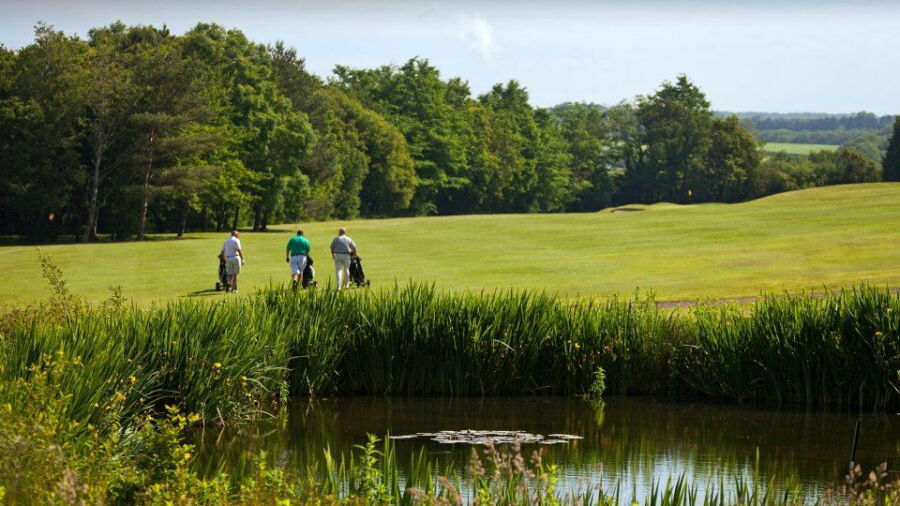 Brynhill (Barry) GC: #7