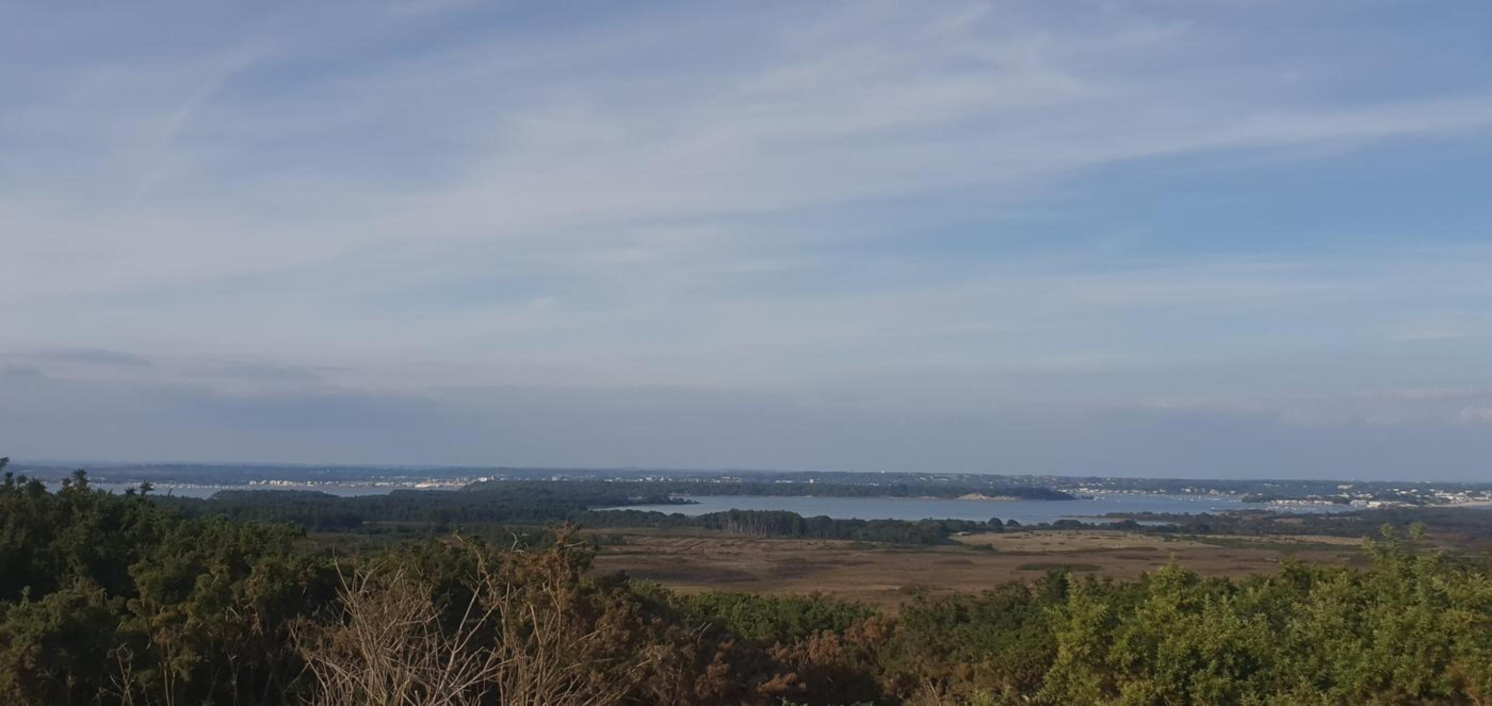 (Photo submitted by OldBrain on 09/22/2022)