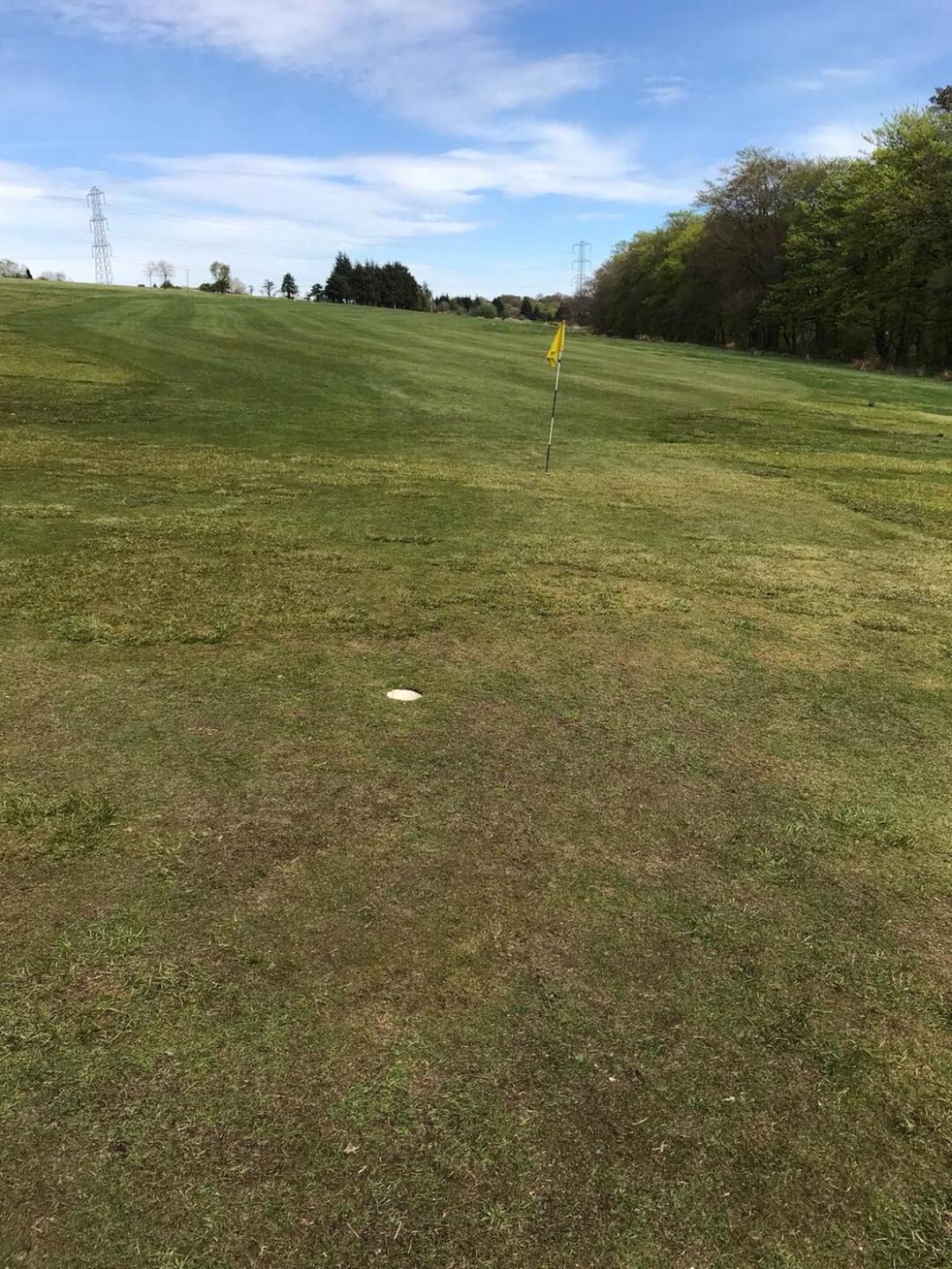 (Photo submitted by u288263678 on 05/08/2018)