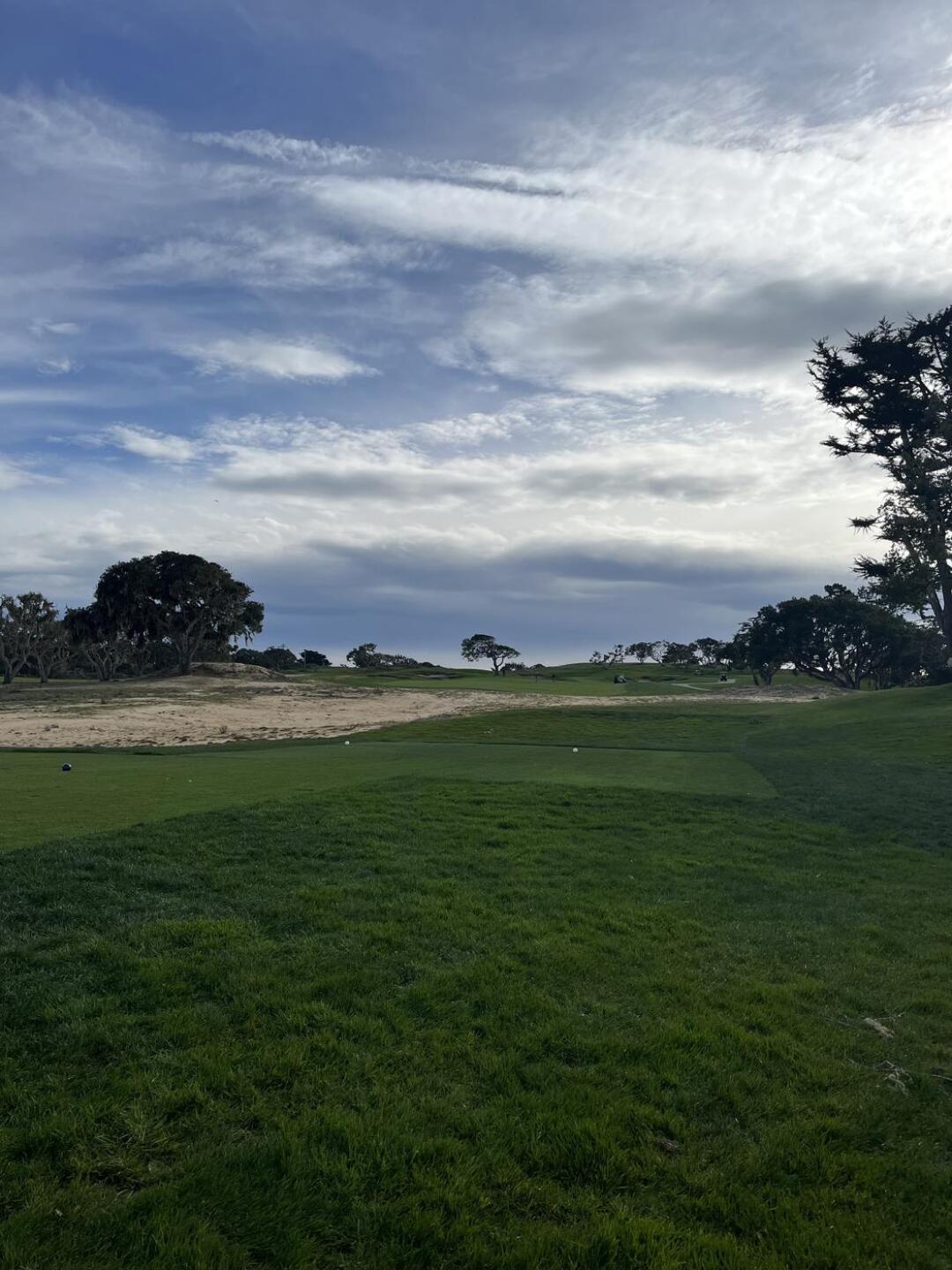 (Photo submitted by u314164117789 on 01/03/2026)