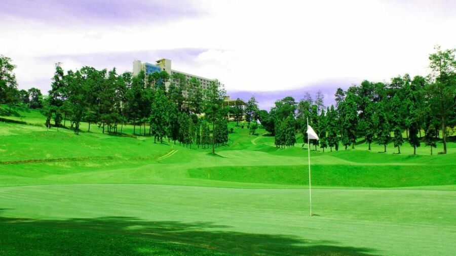 Dago Heritage 1917 GC