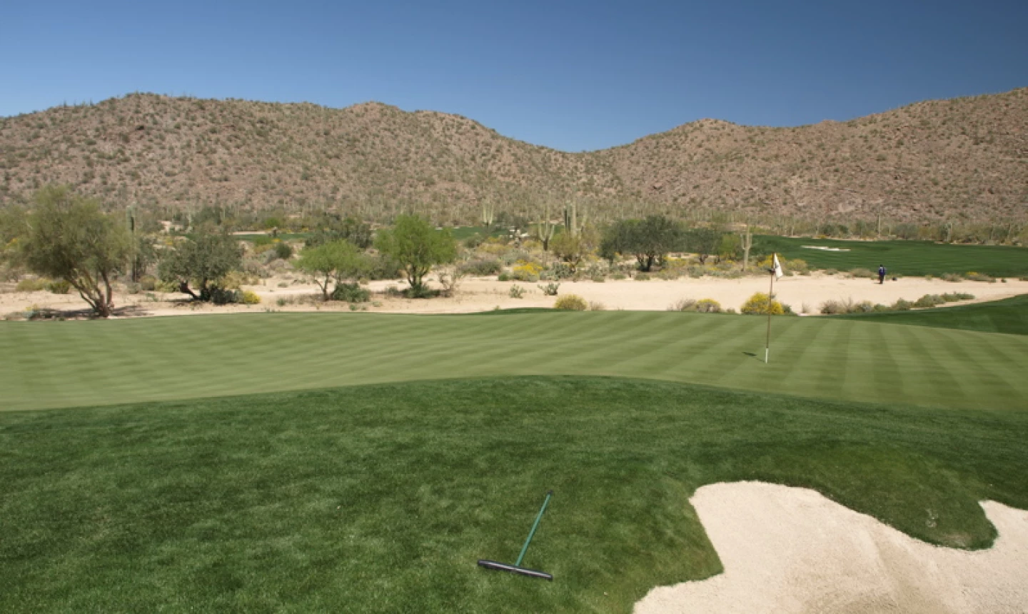 Ritz-Carlton Golf Club at Dove Mountain - Tortolita - 8th hole