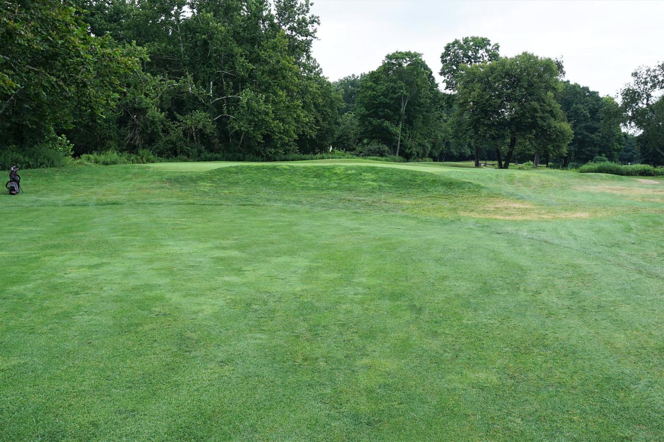 Par-4 Second: A small berm defends the front of the green. (Photo submitted by AptlyLinked on 08/19/2021)