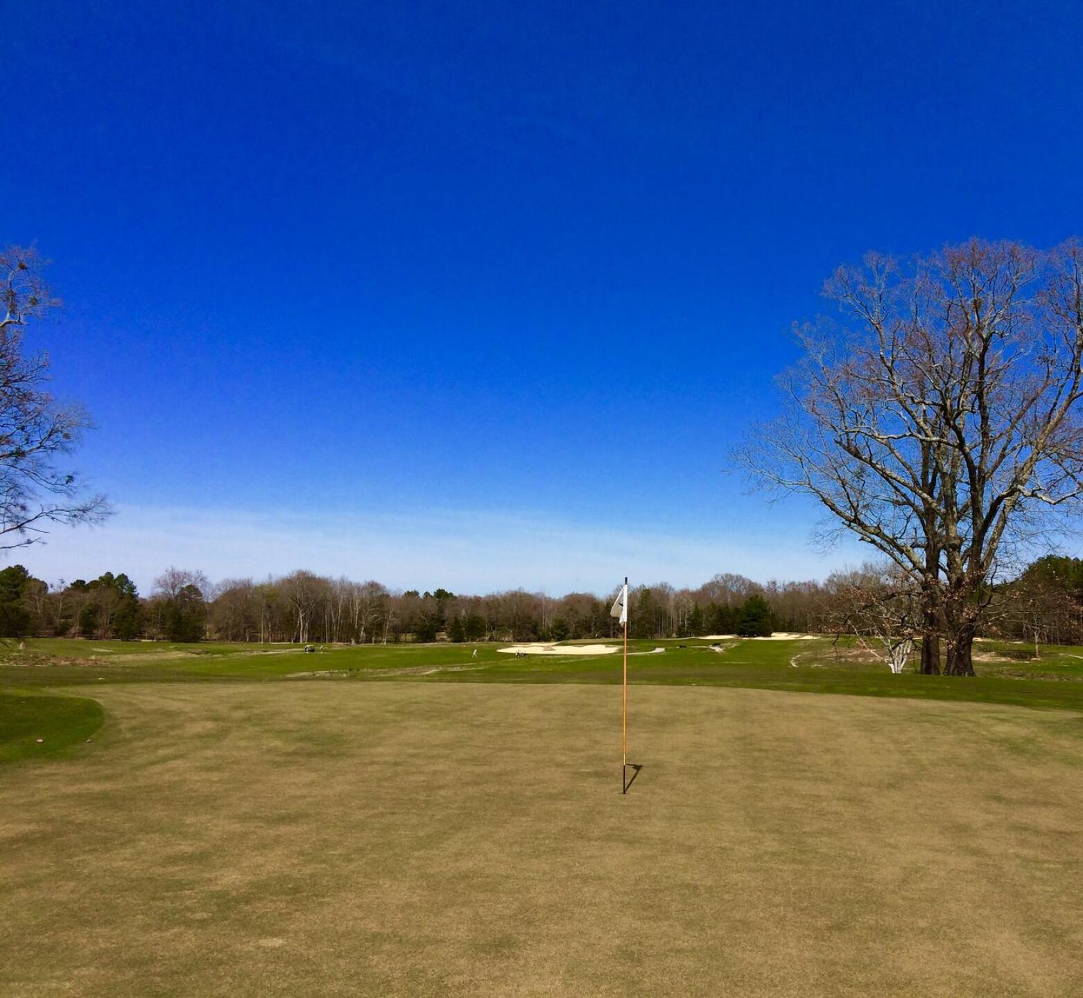 View from ehind the 8th hole. (Photo submitted by BrandonWebb on 03/05/2017)