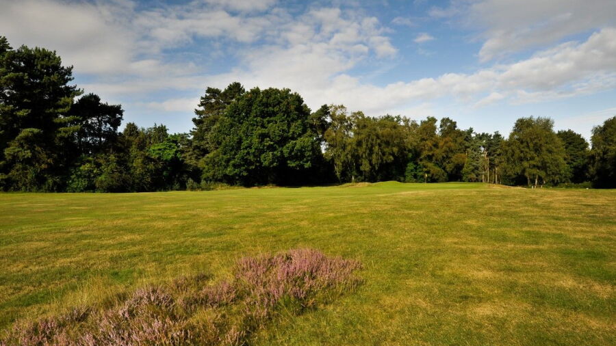 Bixley at Ipswich GC: #2