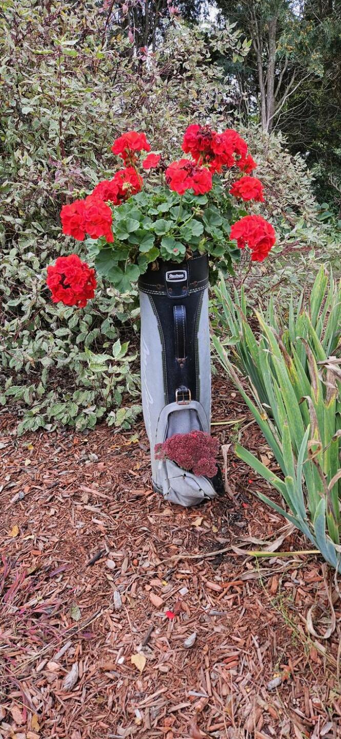 (Photo submitted by toddstown on 10/13/2023)