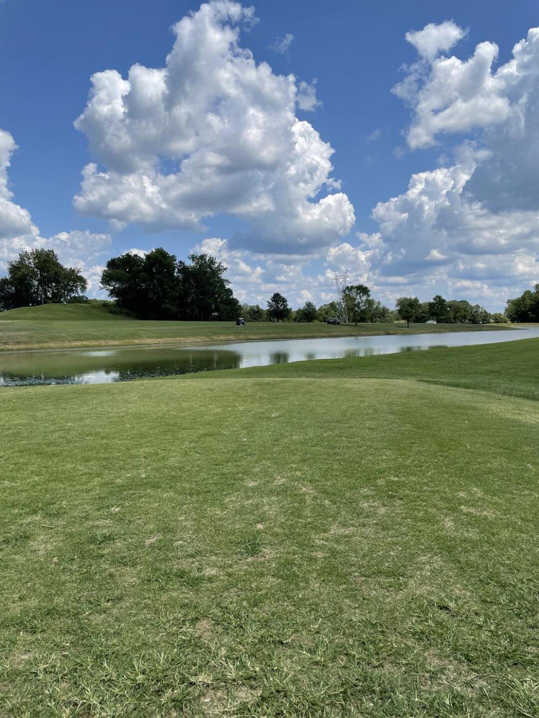 (Photo submitted by Perry79 on 07/25/2023)