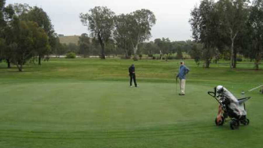 Alexandra GC