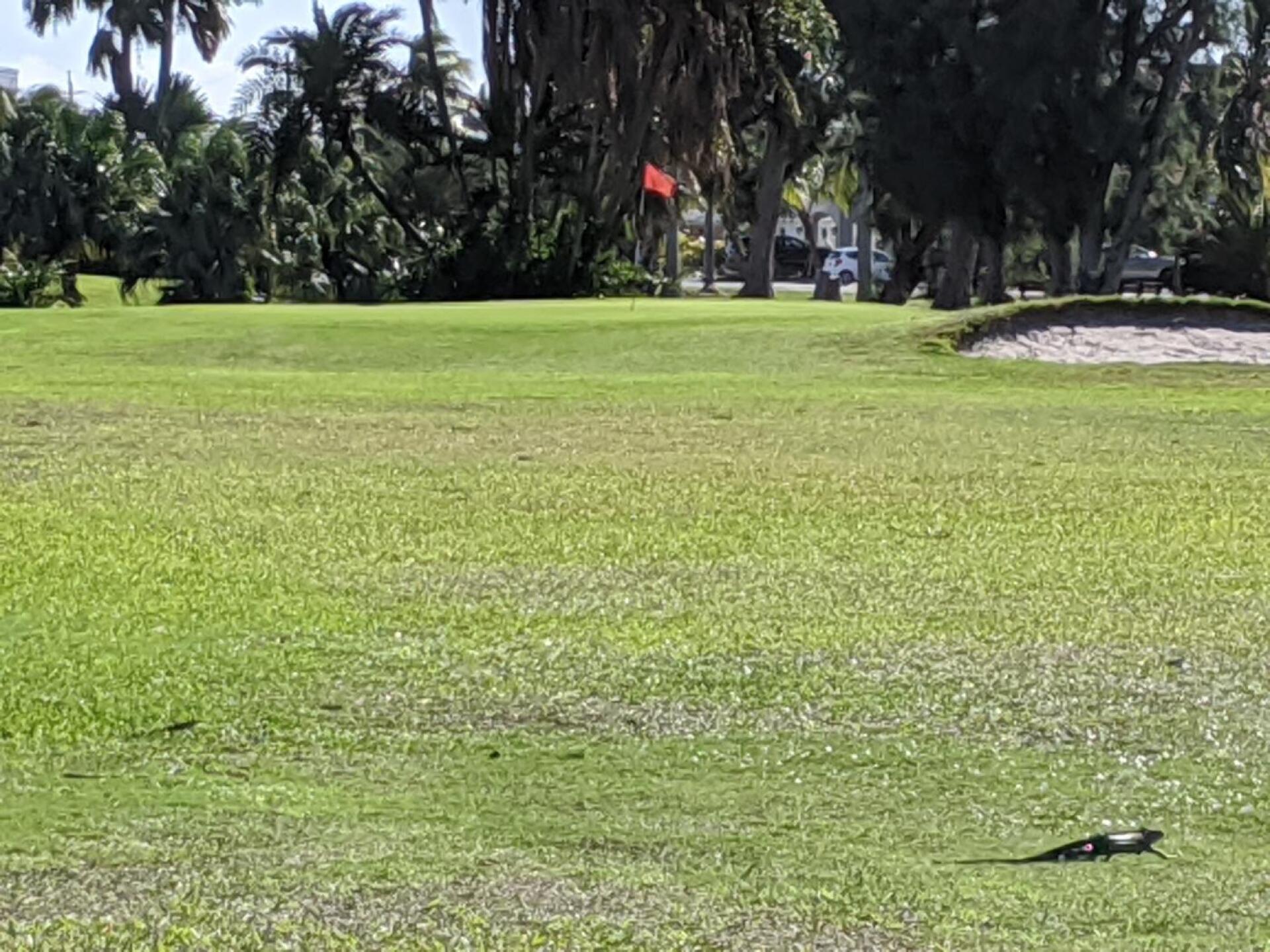 (Photo submitted by TeeFreak on 12/27/2019)