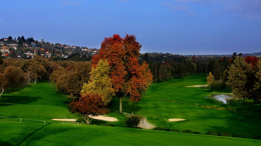 Cameron Park CC