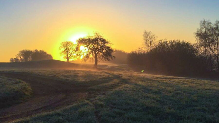 Rye Hill GC