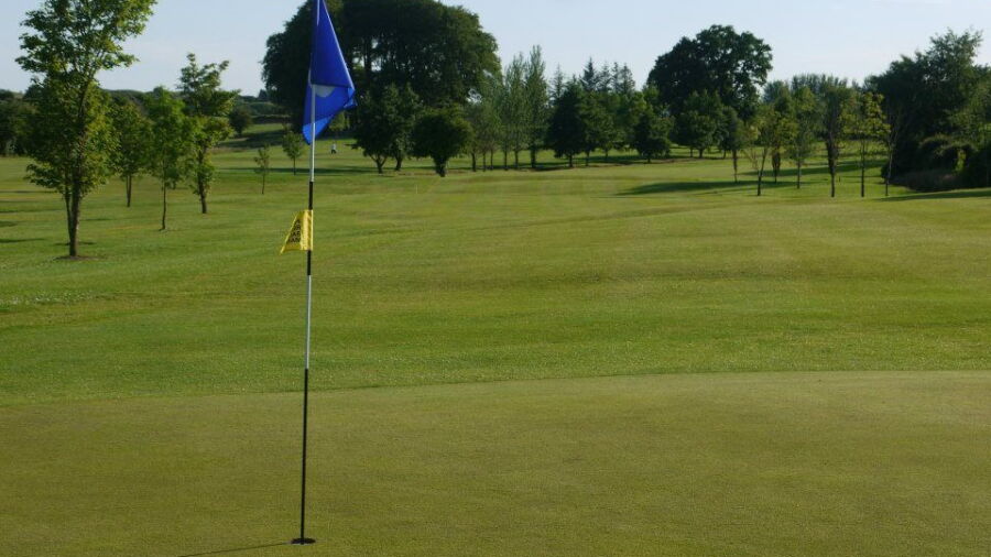 Dunmore Demesne GC: #9
