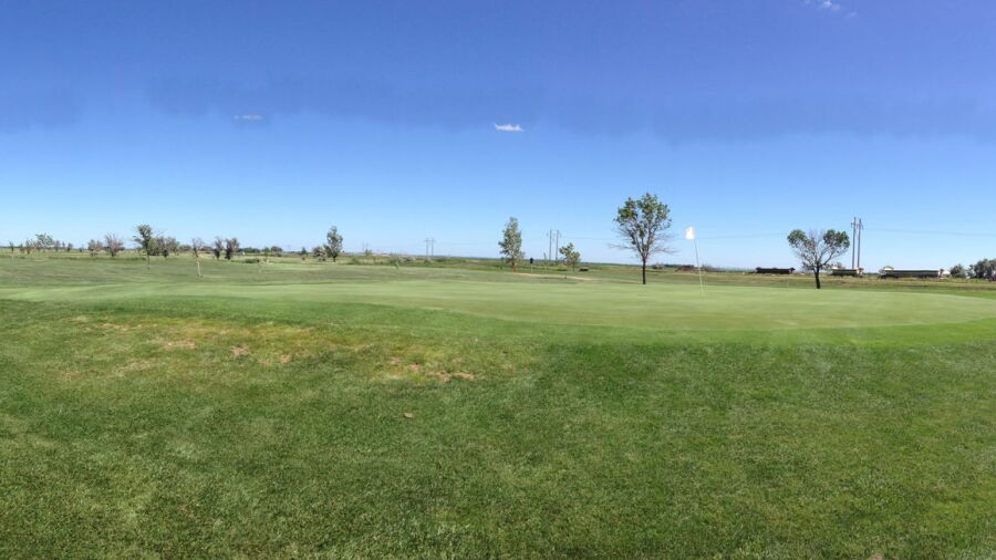Olive Grove GC