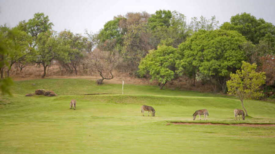 Seasons Lifestyle Estate