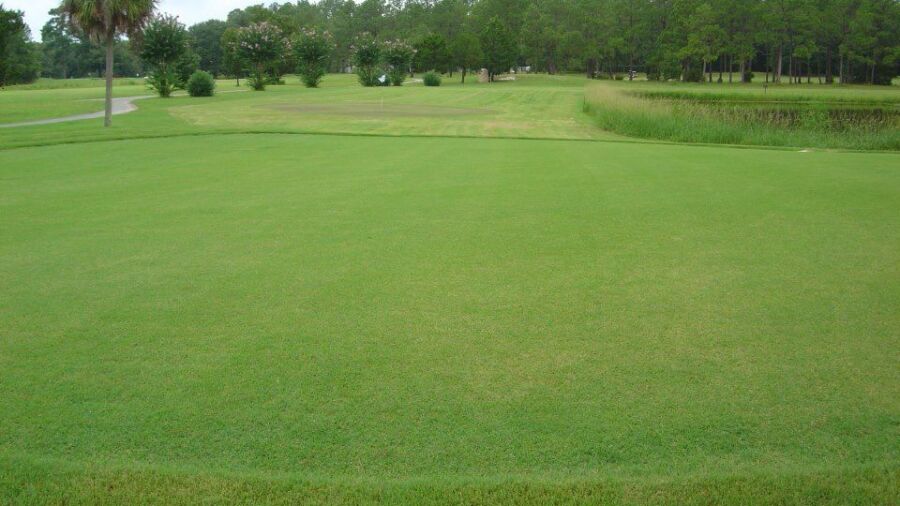 Taylor's Creek GC