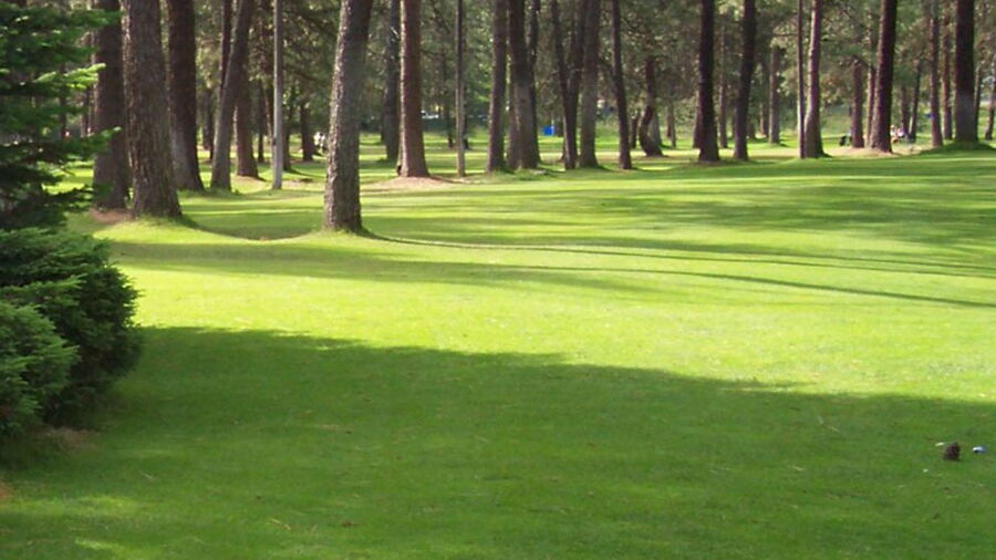 Pine Acres Par 3 GC