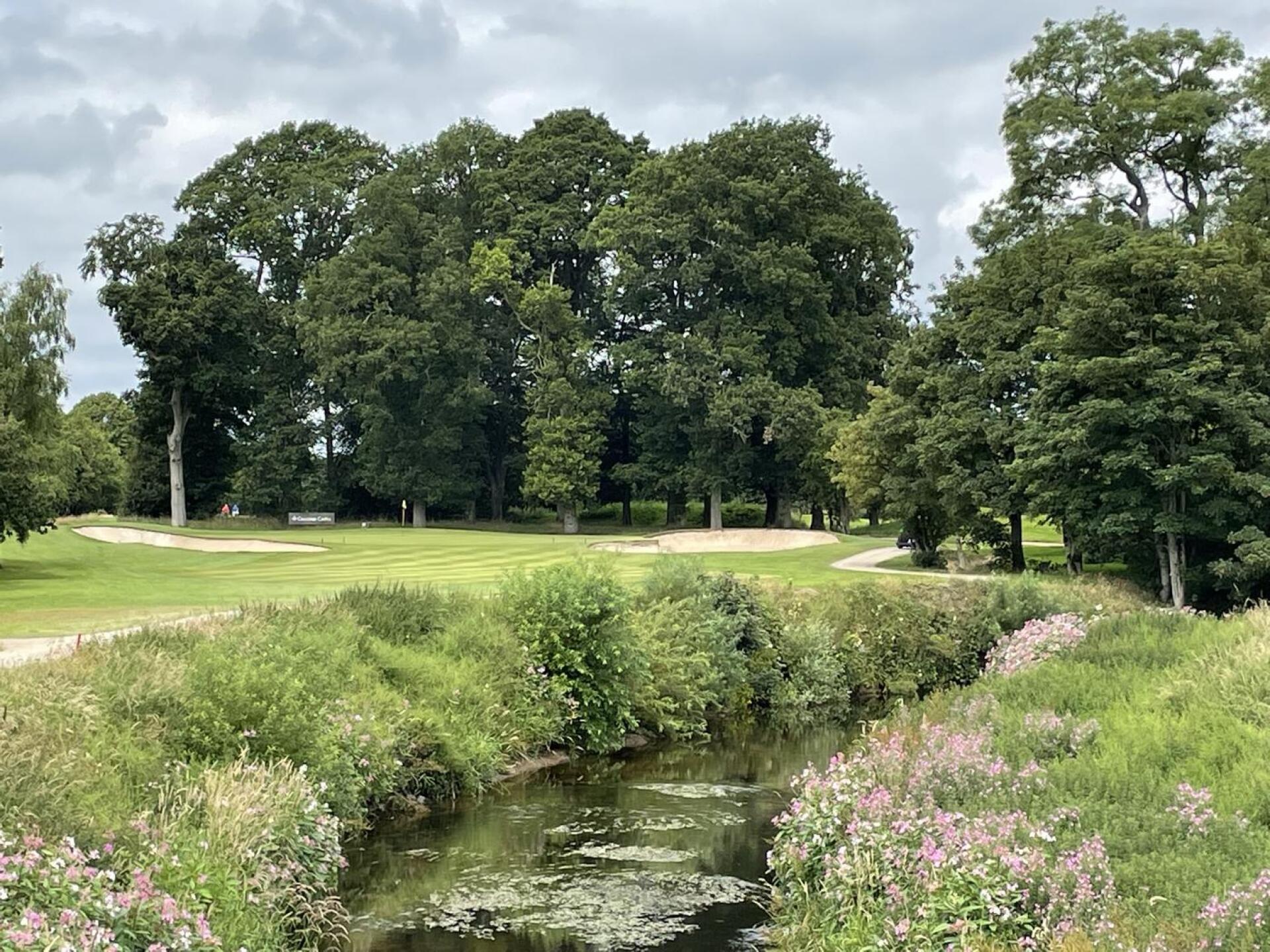 (Photo submitted by JasonDeeganGA on 09/22/2022)