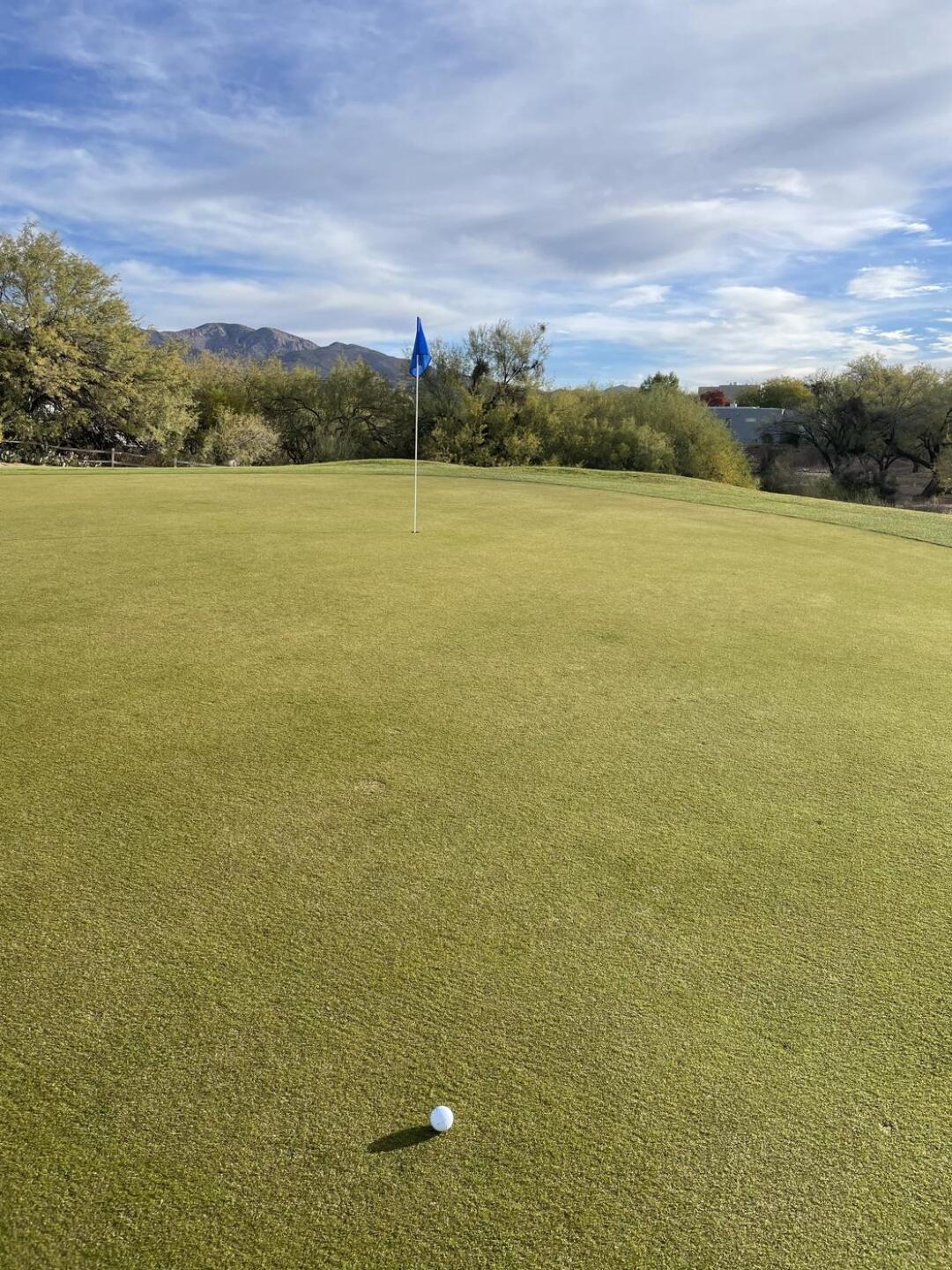 (Photo submitted by CSnyder1 on 12/21/2023)