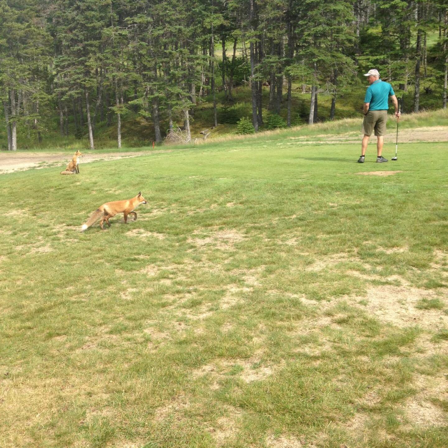 (Photo submitted by Minus2at49 on 07/14/2015)