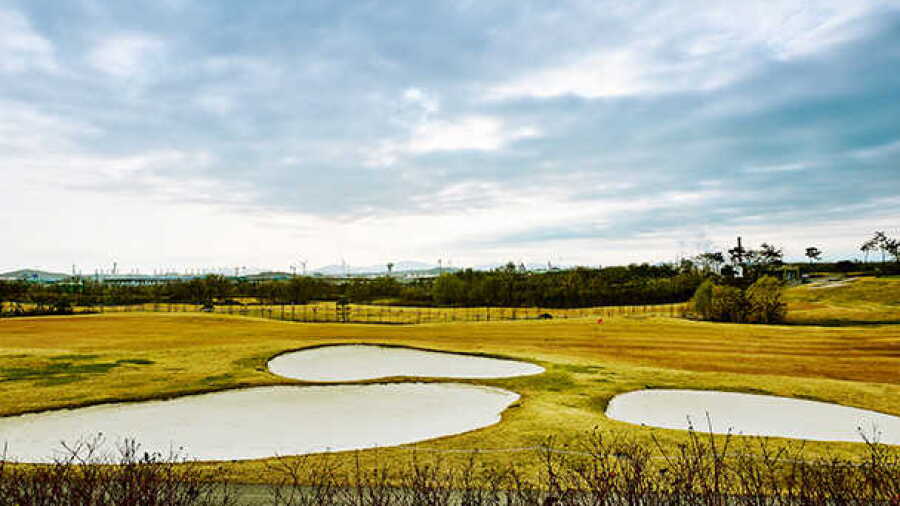 Dream Park CC