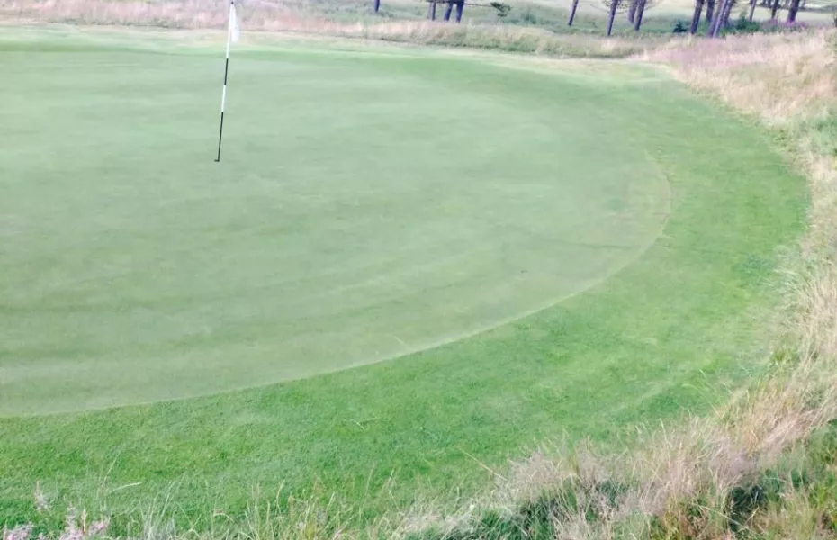 Monifieth Golf Links - Ashludie: #8