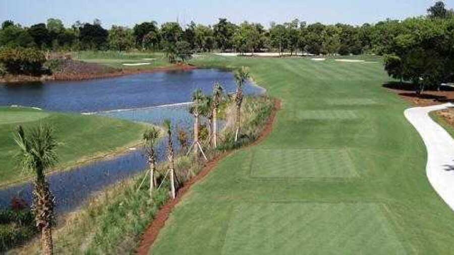 Pines at Royal Poinciana GC: #2