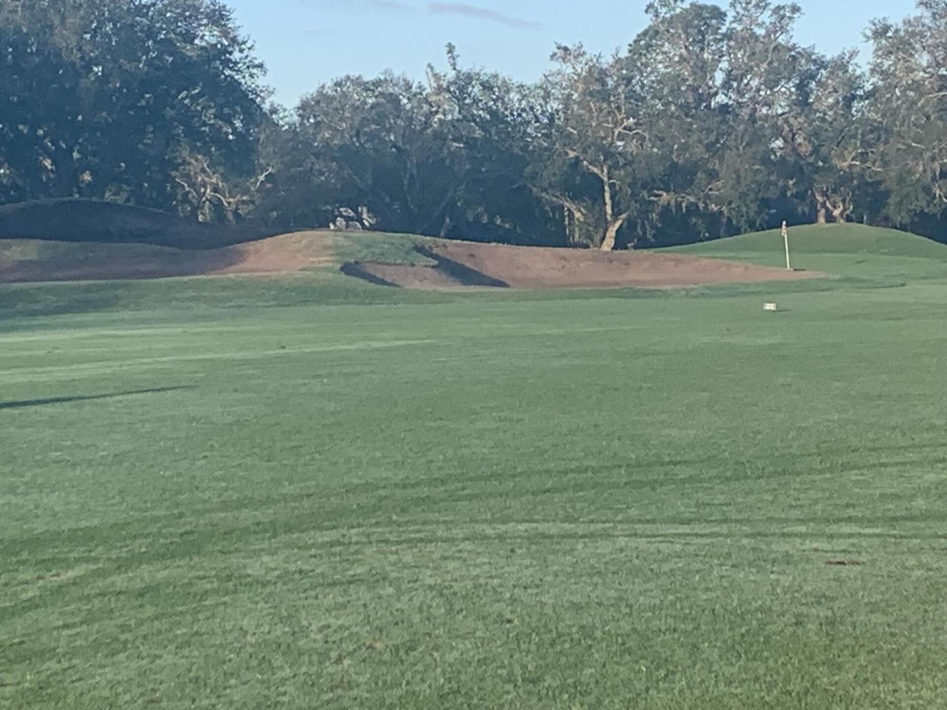 (Photo submitted by u126144953 on 02/13/2025)