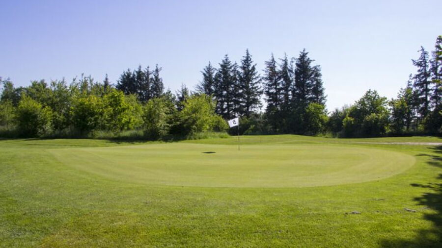 Akagardens GC - Short: #5
